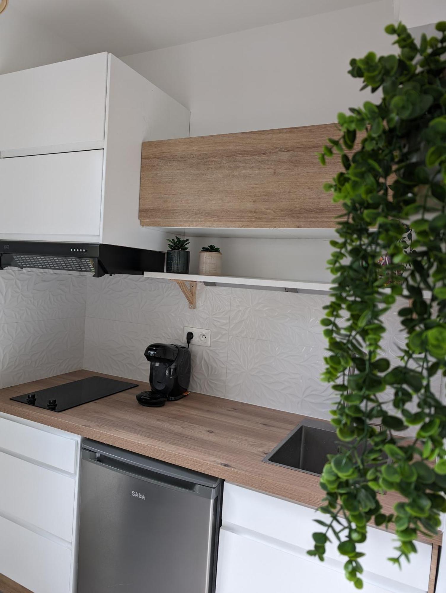 Appartement Cosy Au Calme A Cote Du Zoo Avec Balcon Et Parking Securise Montpellier Eksteriør bilde